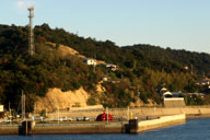 �����̋{�Y�`�ɋ߂Â�