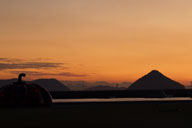 ��ȓ��Ƒ��Ԝ\����̃A�[�g�u��Z�v