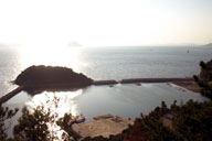 �J�t�F���猩���낷�w���|�[�g