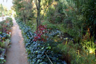 �n���̒�͒n��ɂ���