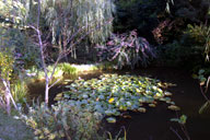 ���l�̒���Č������n���̒�