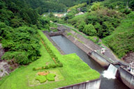 �_���̉�����