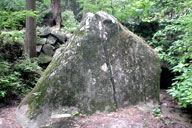 �ٌc�̊���