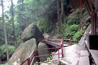 �����_�Ђ̖{��