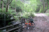 �������������Ȑ_�Ђ̎Q��