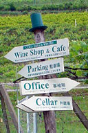 �R�R�E�t�@�[���E���C�i���[�ɓ���