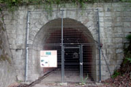 �{�ԓ��̋��吳�g���l��