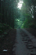 �z��O�ɂ���������