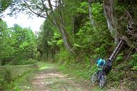 ��������n���������獑�X��