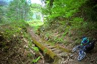 ���肩�����؋���T�d�ɓn��