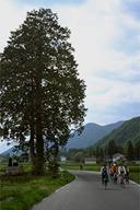 �Ԃ̂قƂ�ǒʂ�Ȃ������̂�т葖��