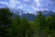 �f���炵���V�΂Ǝc��Ƃ̃R���g���X�g