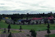 ��㍑��YH���猩���l������