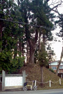 �}�炸���ꗢ�˂ɏo���킷