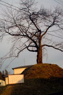 ���c�ꗢ��