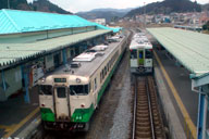 �C����w�ɂĒ��