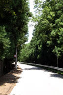 �Â��������쉈���ɉ���