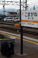 �m�l���o�c�̔��e�������Ɍ�����