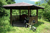 ���a�c�w���o�Ă����̂��Â܉�