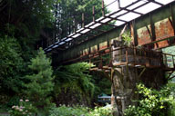 �ѓc���̋����[�g