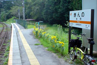 ����Ƃ̂��Ƃŋ���w�ɓ���