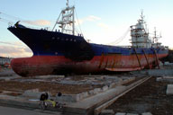 �w�O�ɑł��グ��ꂽ�D