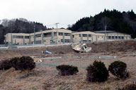 �����ȋ��D���ł��グ���Ă���