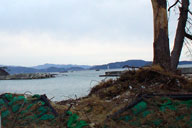 �Ί݂ɂ͔�Q�̑傫���������O���c��������