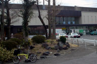 �w���V�������ʂ鍕��w