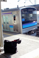 �n��ɏo����|�w�ɂĐ�ΐ�������