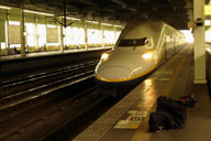 ����Ɨ����K�[������s���V����