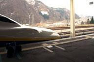 �~�G�̂݉c�Ƃ̃K�[������w����