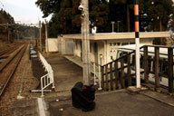 ���w�ł͗��ق̂��}�������Ă���