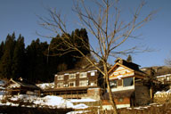 ���ق���ɑ��w�ɉ���