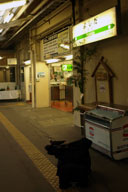 ��F���Ɖz������N���X����g�c�w