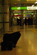 �`�F�b�N���󂯉w���o��