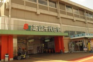 ���{��Z���ŎR�S��