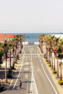 �ڎR�w����C����������