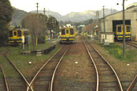 �命��w�̎Ԍ�