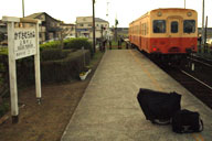 �܈�w�̈��O�̏㑍����w�ɓ���