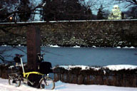 �L���x�̎ᏼ��