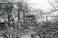 �ᏼ��V��t