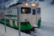 �V�����ɓ������唒��w�ɂė�Ԍ���