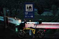 YH�̈ē��Ŕ�