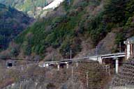 �����_���w�܂œo���Ă����}���z