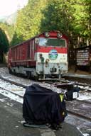 �Ց��w�ōĂѓS���ɏ��