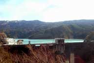 ���_���������Ă���