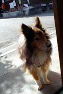 �ڑZ������̌���������