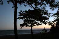 �[���̒��ގO�ۂ̏����C��