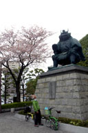 �b�{�w�O�̐M����